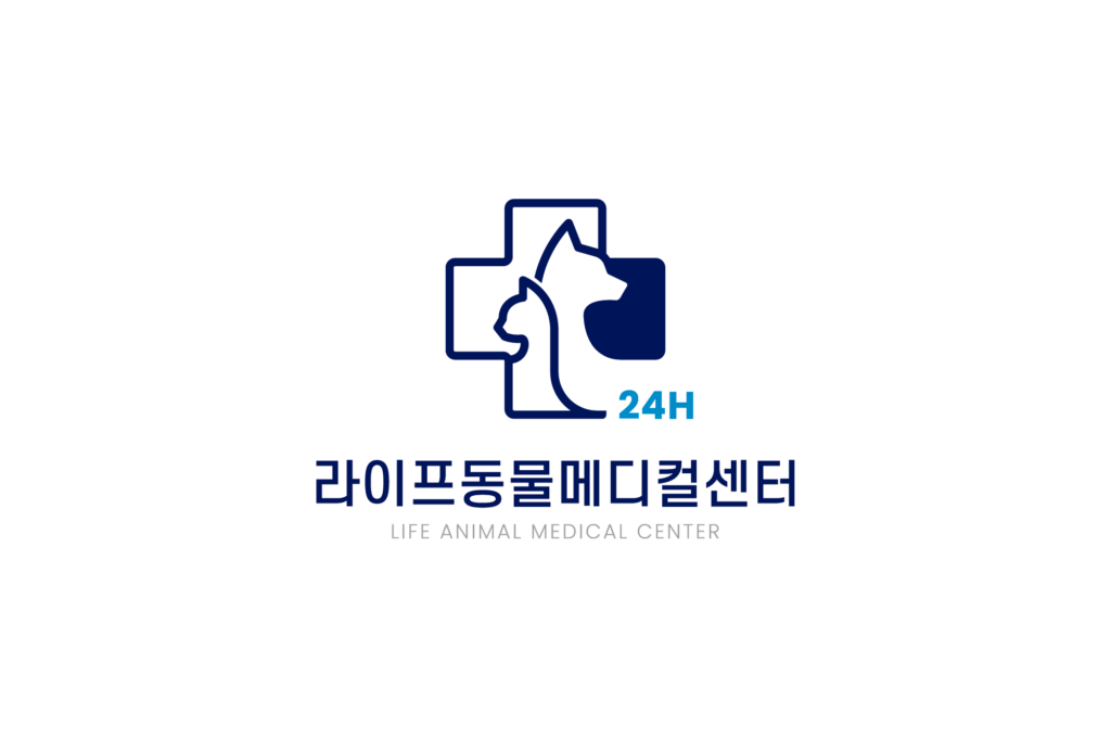 내과진료 관련 이미지